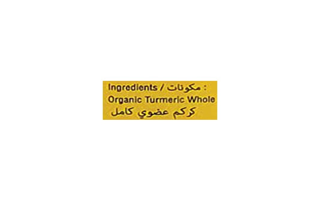 Orgabite Organic Turmeric Powder    Plastic Bottle  100 grams
